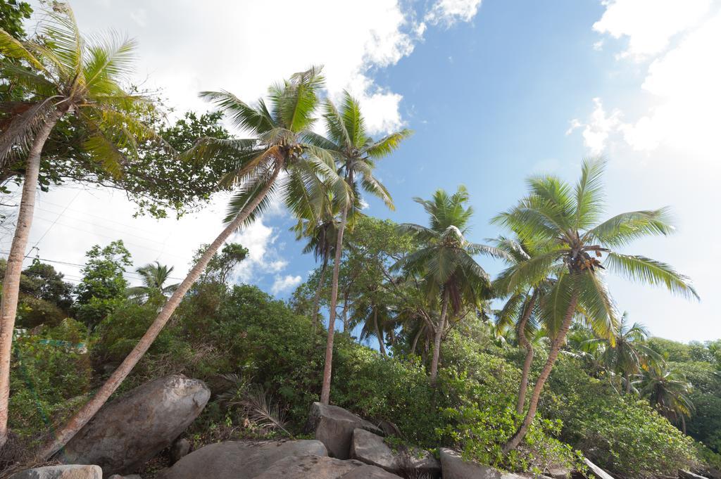 Villa Bel Age Anse Royale Extérieur photo