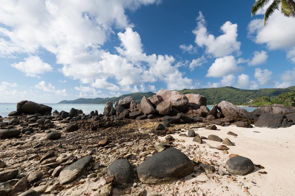 Villa Bel Age Anse Royale Extérieur photo